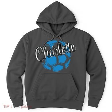 Cool Retro Charlotte Soccer Ball Hoodie