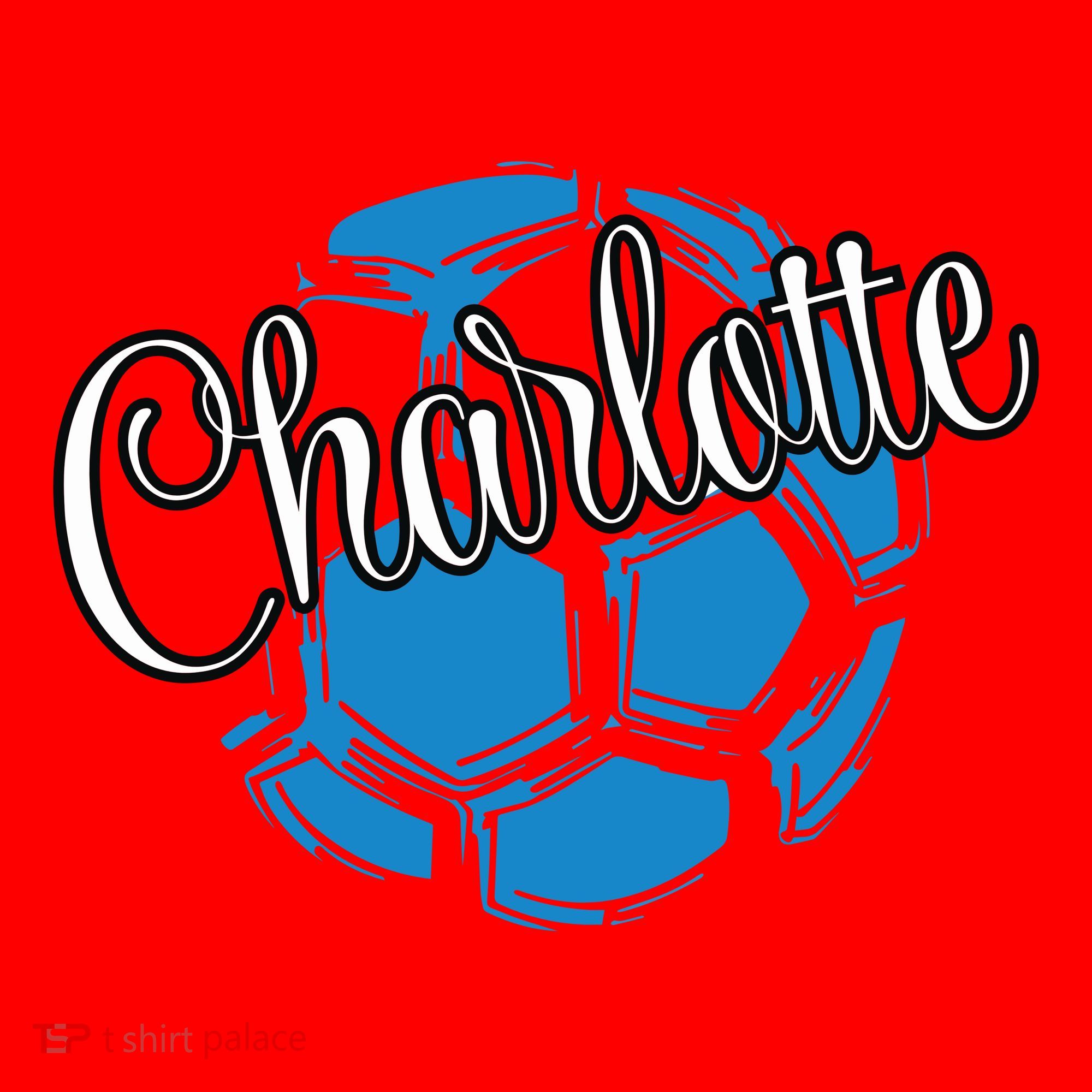 Cool Retro Charlotte Soccer Ball Santa Hat