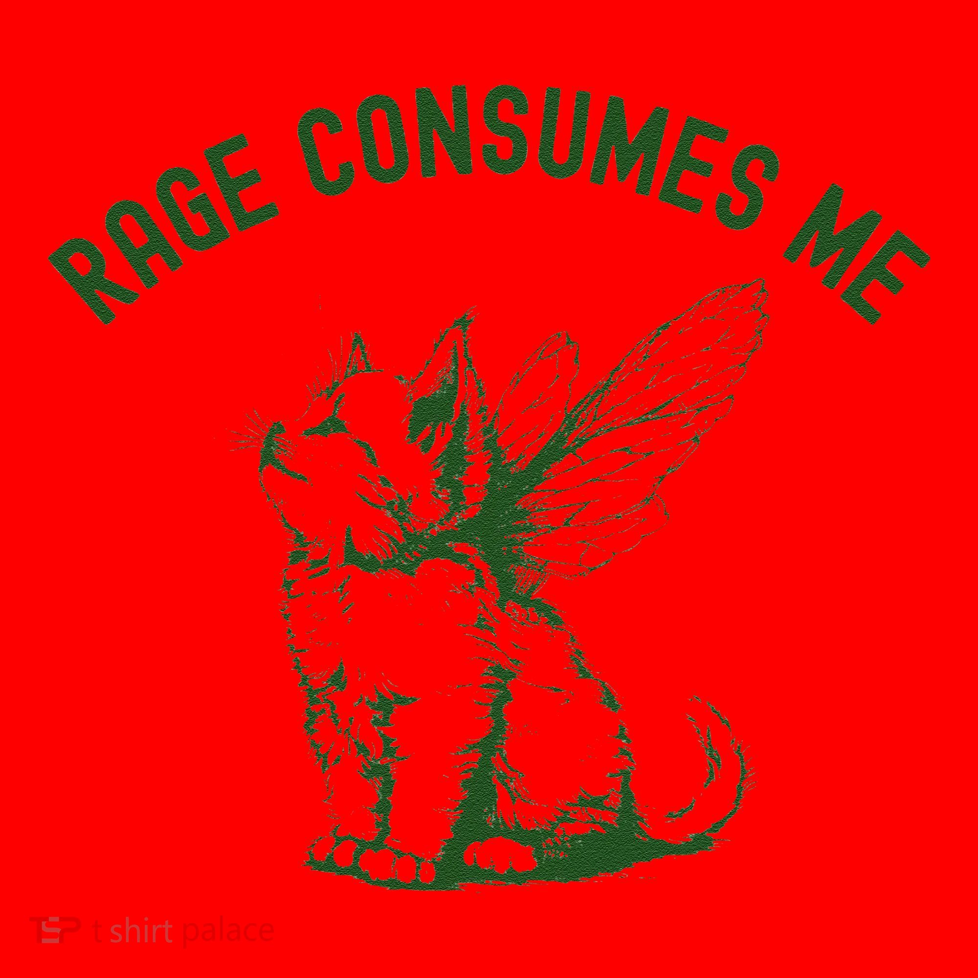 Cat Rage Consumes Me Santa Hat