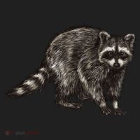 Cute Raccoon Women's Sweatshirt thumb 2
