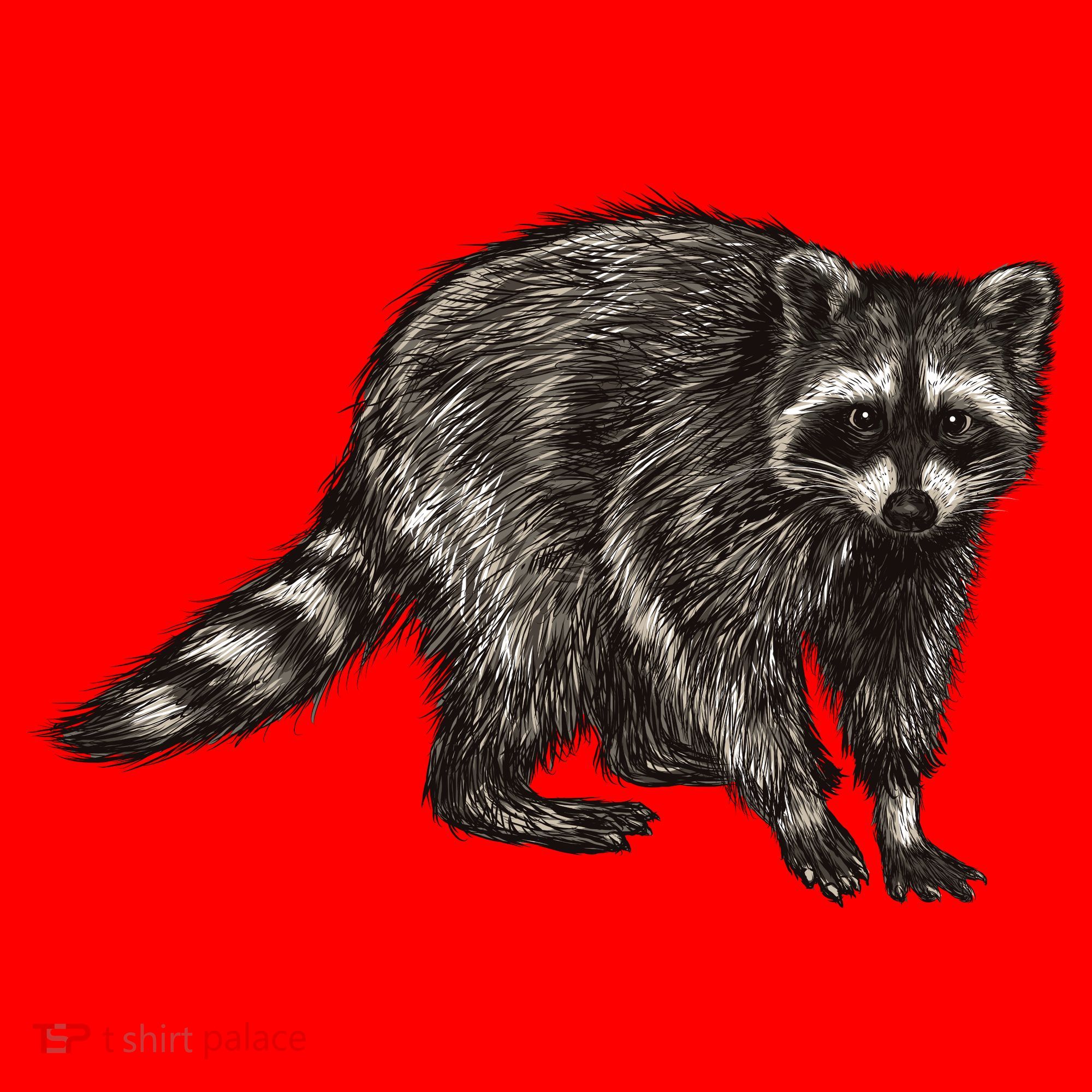 Cute Raccoon Santa Hat