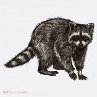 Cute Raccoon Women's Hoodie thumb 2