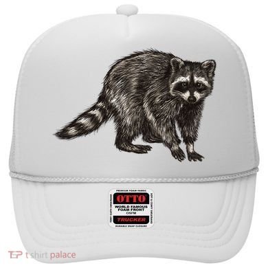 Cute Raccoon Hat