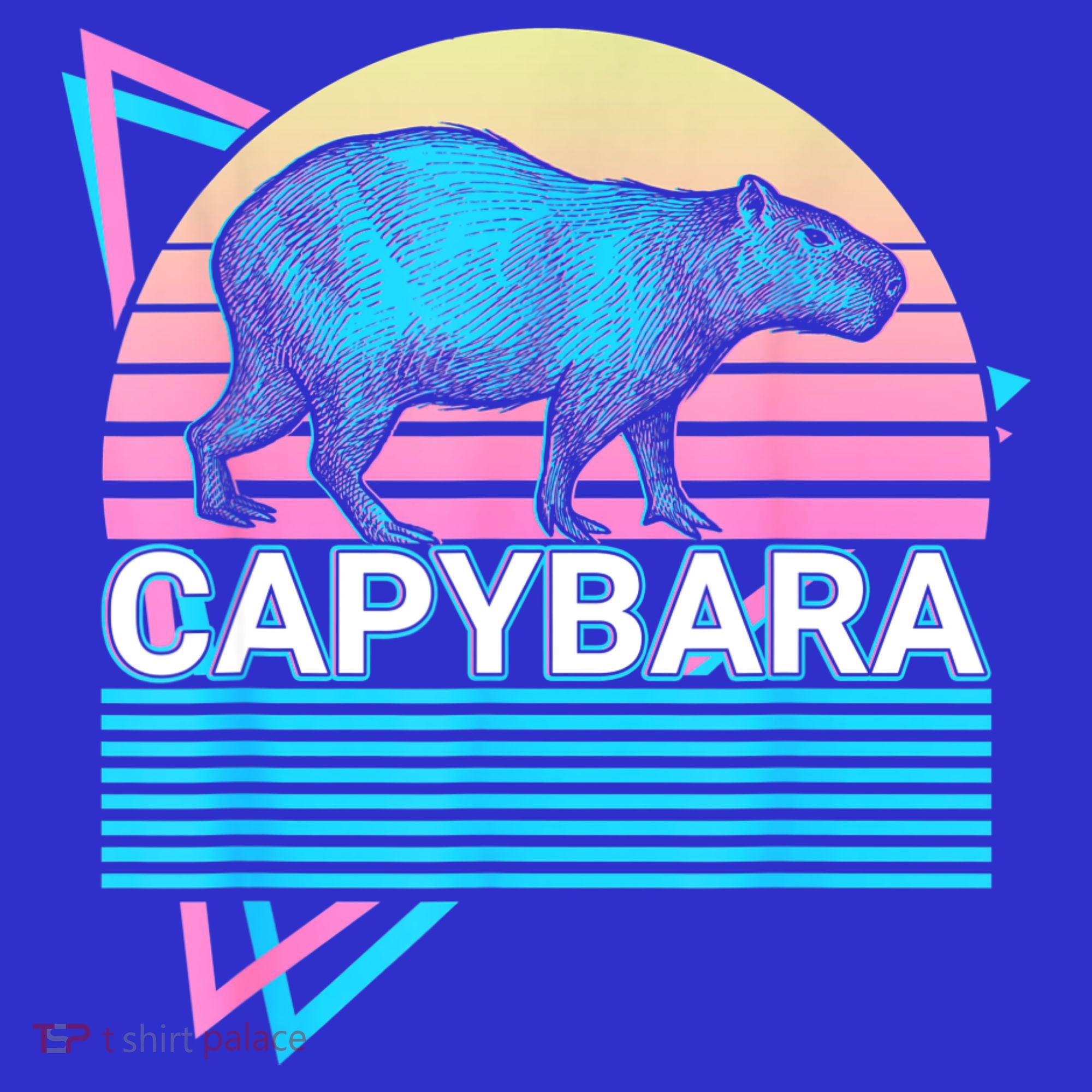 Capybara Retro Coaster