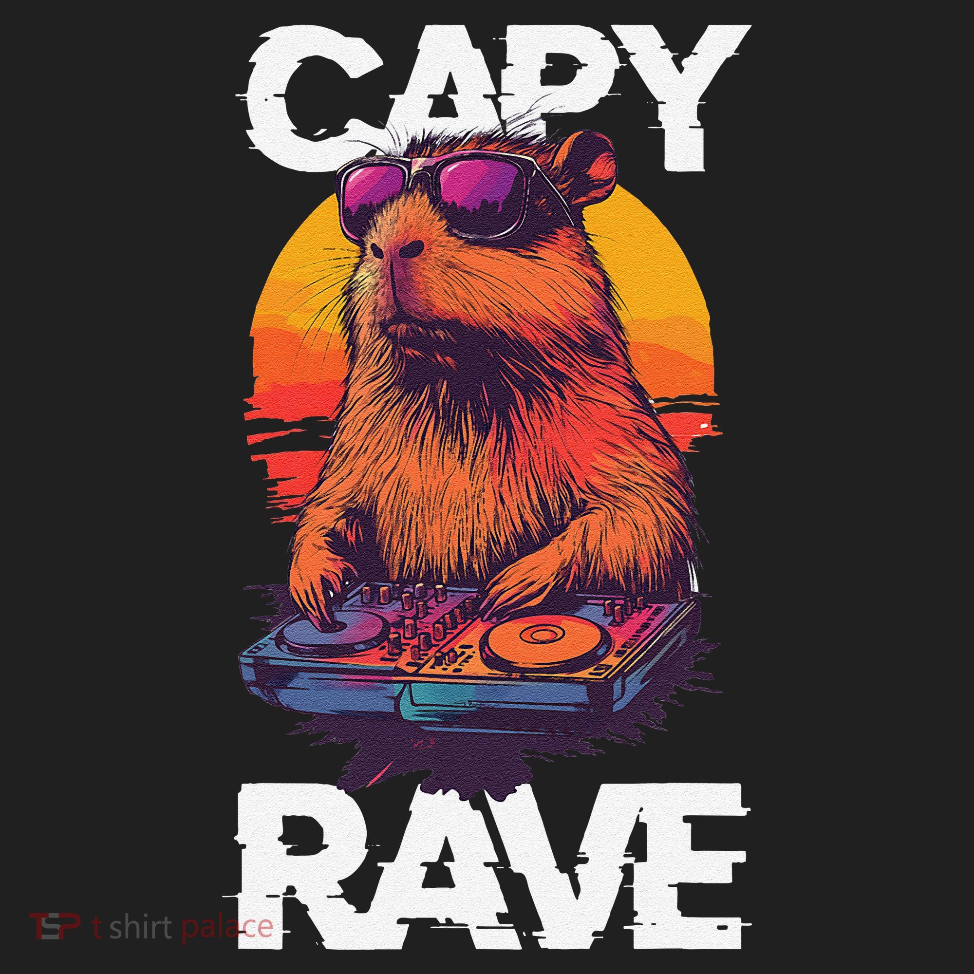 Capybara Raves Dj Rave Techno Edm Party Festival Turntable Beanie