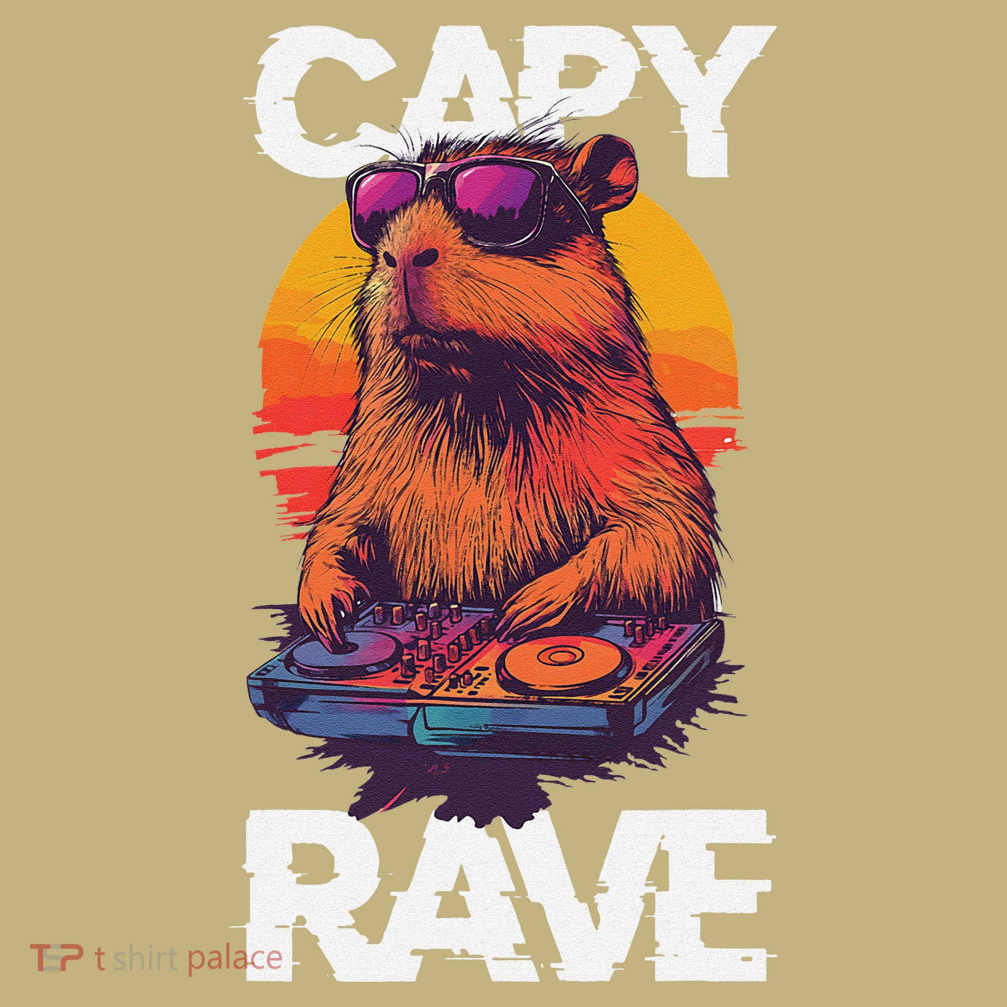 Capybara Raves Dj Rave Techno Edm Party Festival Turntable Sweatshirt