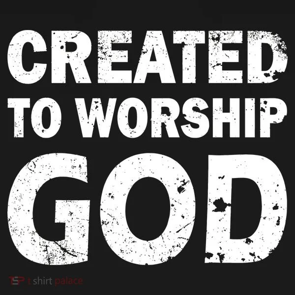 Created To Worship God Toddler Hoodie