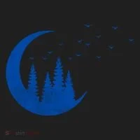 Crescent Moon Flocking Birds Tumbler thumb 3