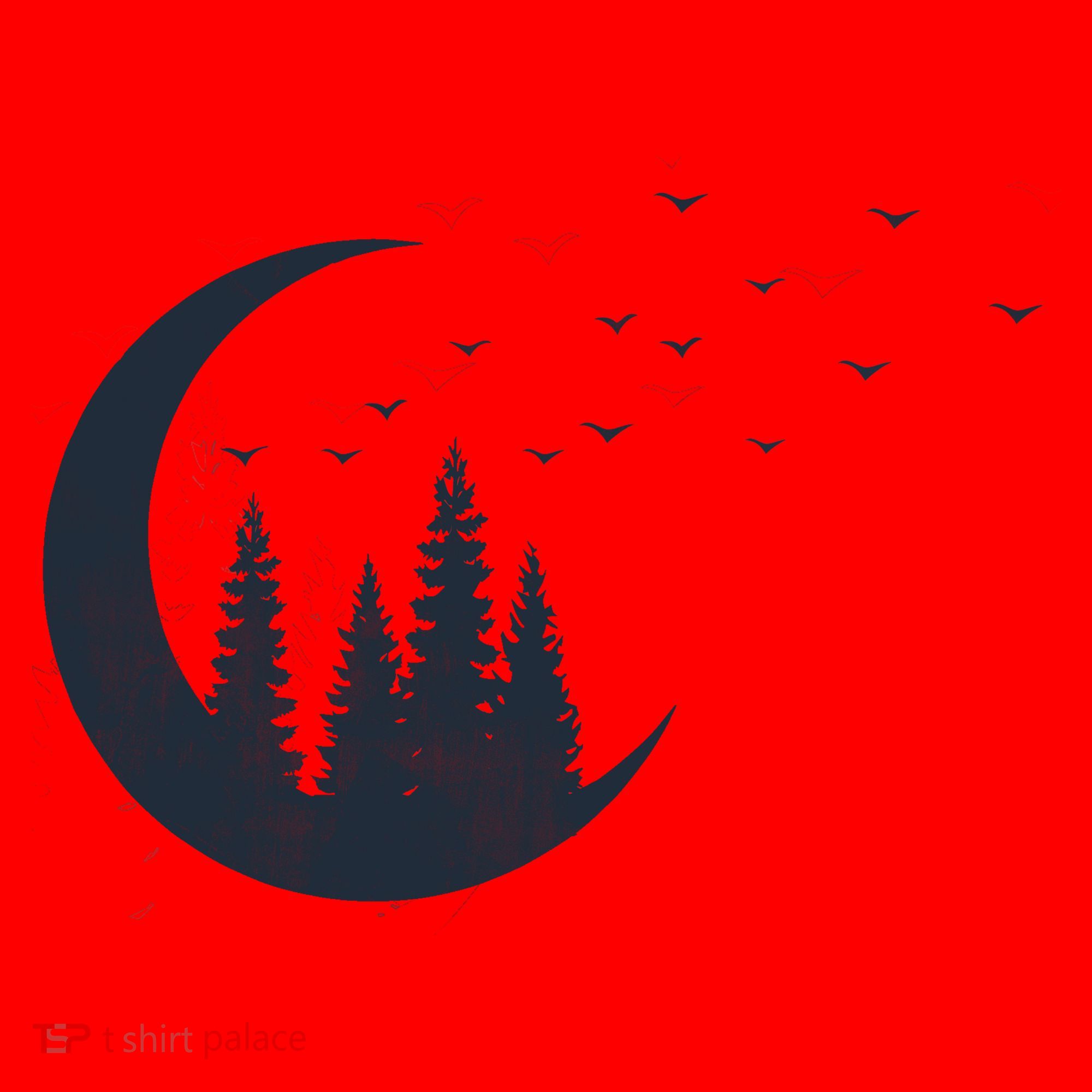 Crescent Moon Flocking Birds Santa Hat