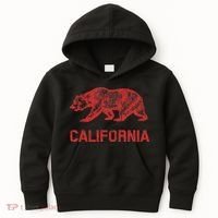 California Republic Flag Distressed Bear Kids Hoodie thumb 0