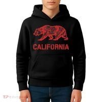 California Republic Flag Distressed Bear Kids Hoodie thumb 4