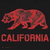 California Republic Flag Distressed Bear Kids Hoodie thumb 5