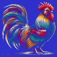 Colorful Rooster Funny Gift T-Shirt thumb 7