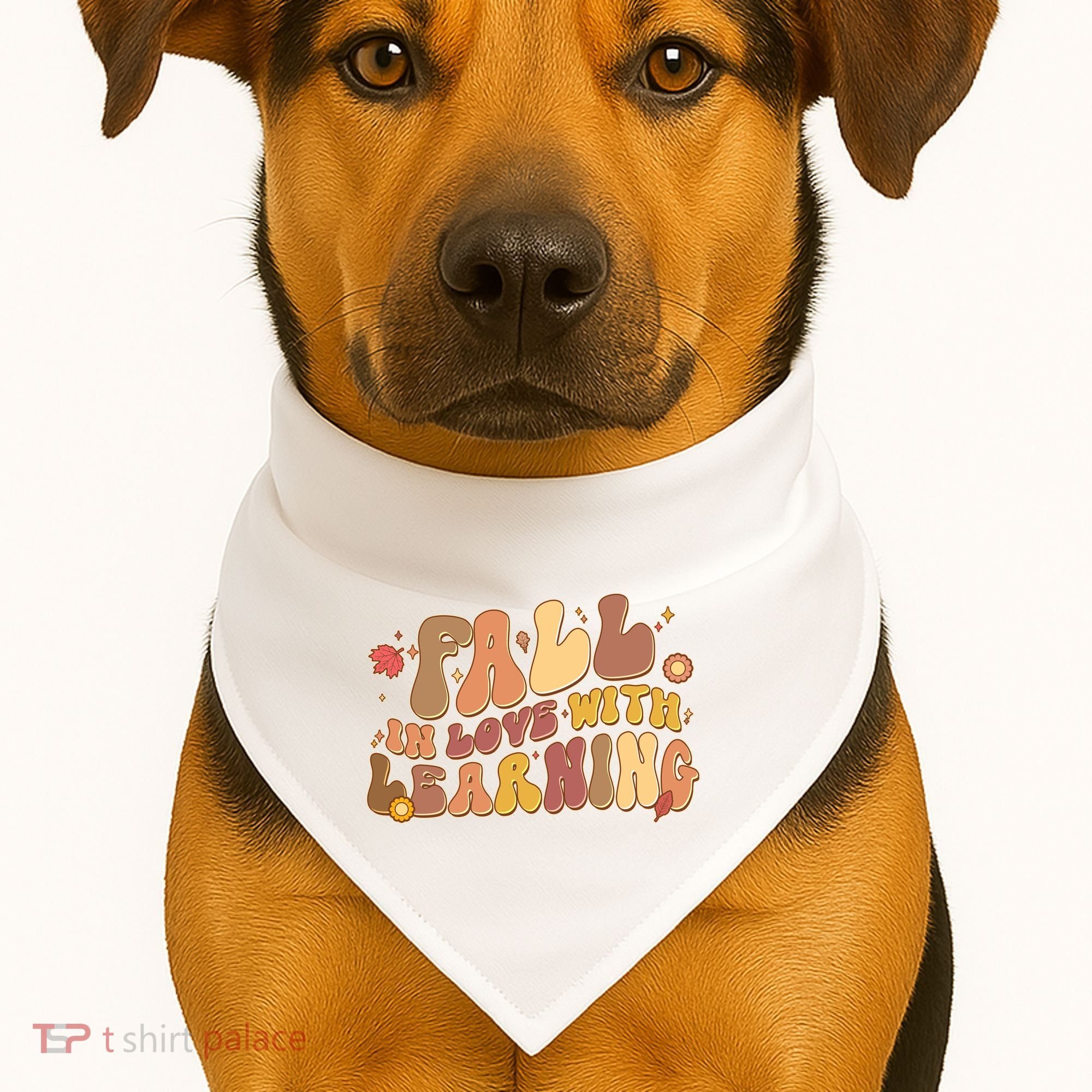 Cute Retro Fall In Love With Learning USA-Made Doggie Bandana