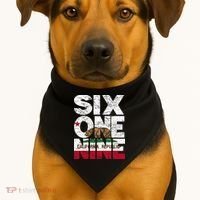 California Republic Flag 619 Area Code USA-Made Doggie Bandana thumb 1