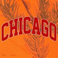 Chicago Retro Gift Kati Licensed 12" Camo Cuffed Beanie thumb 2