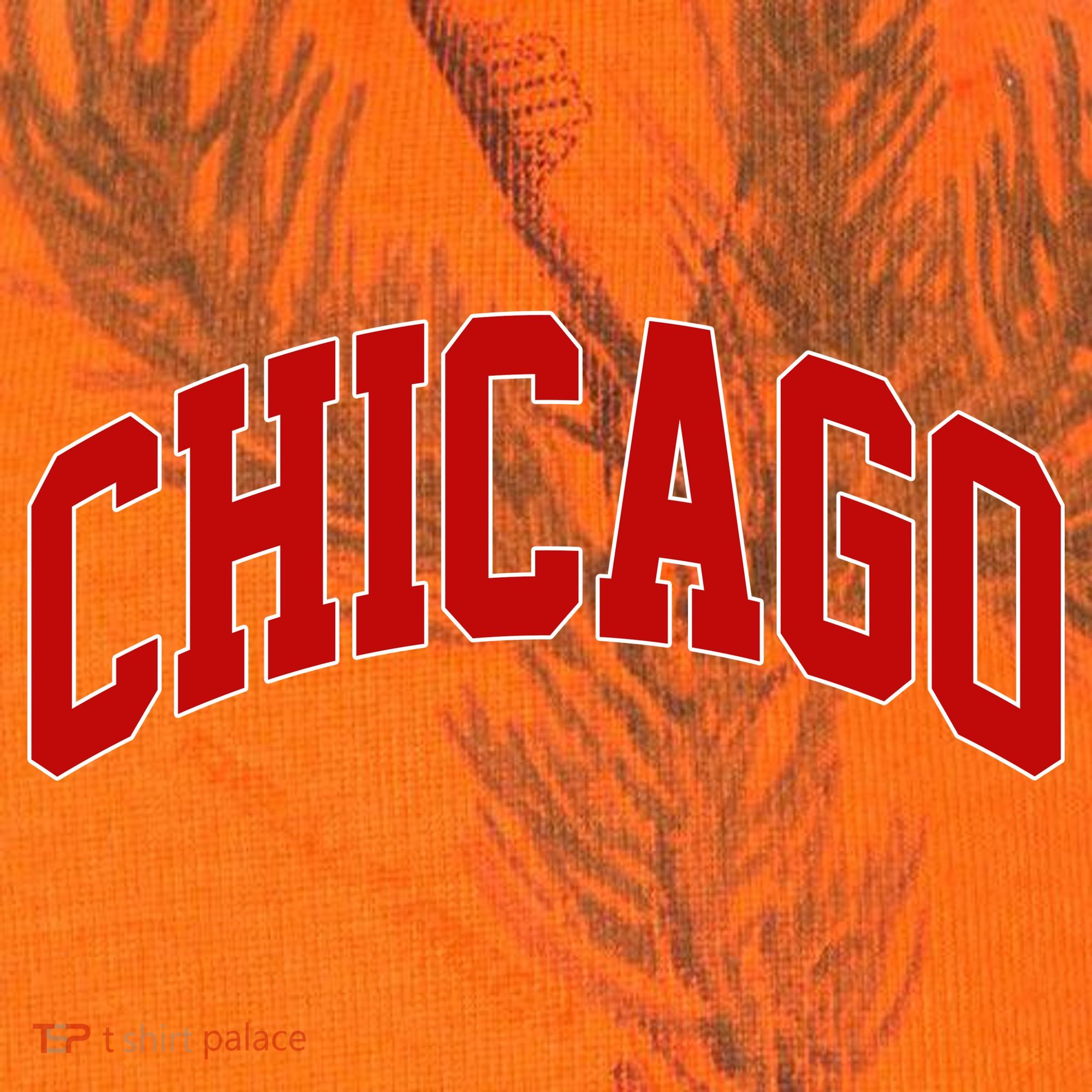 Chicago Retro Gift Kati Licensed 12" Camo Cuffed Beanie