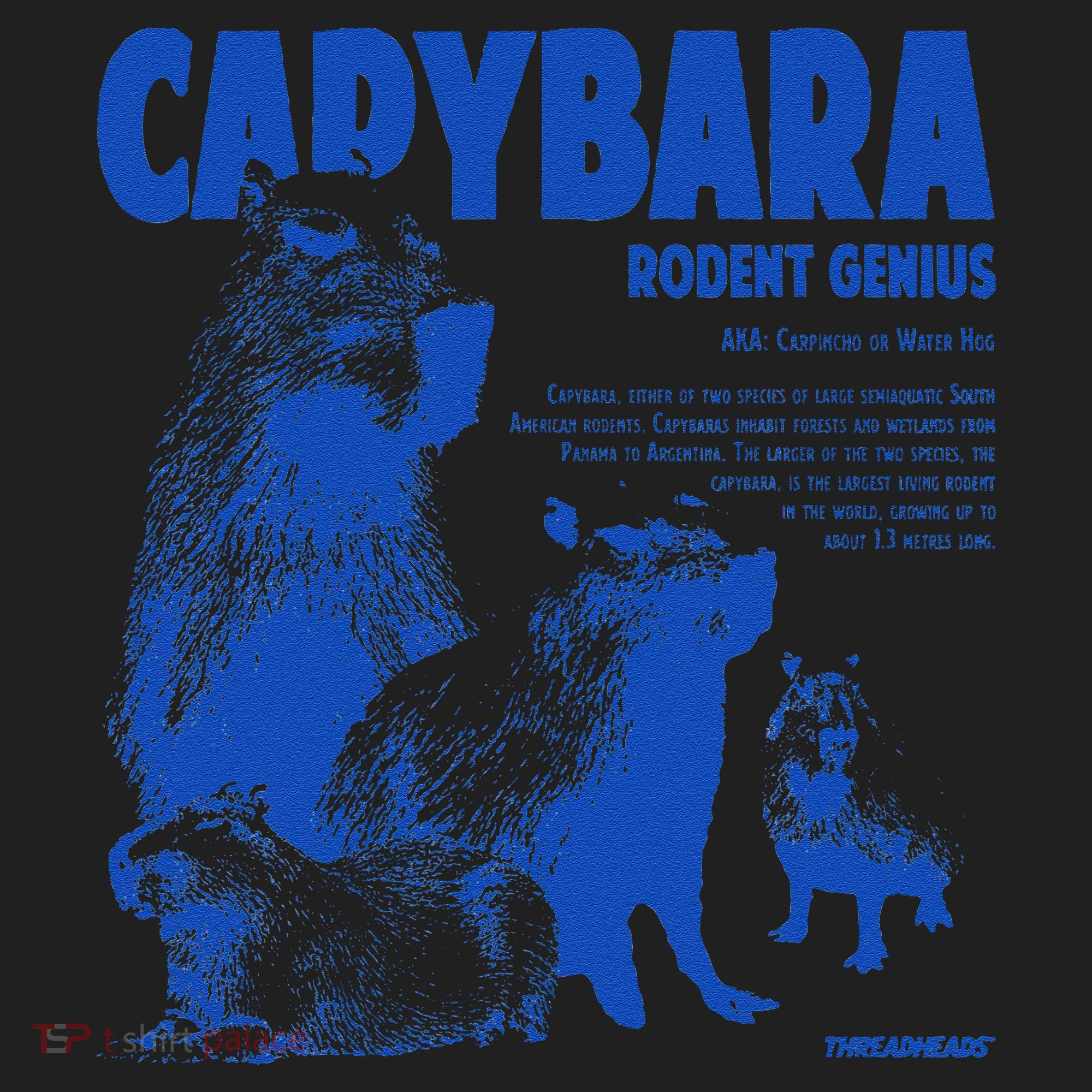 Capybara Rodent Genius Women's Sweatshirt