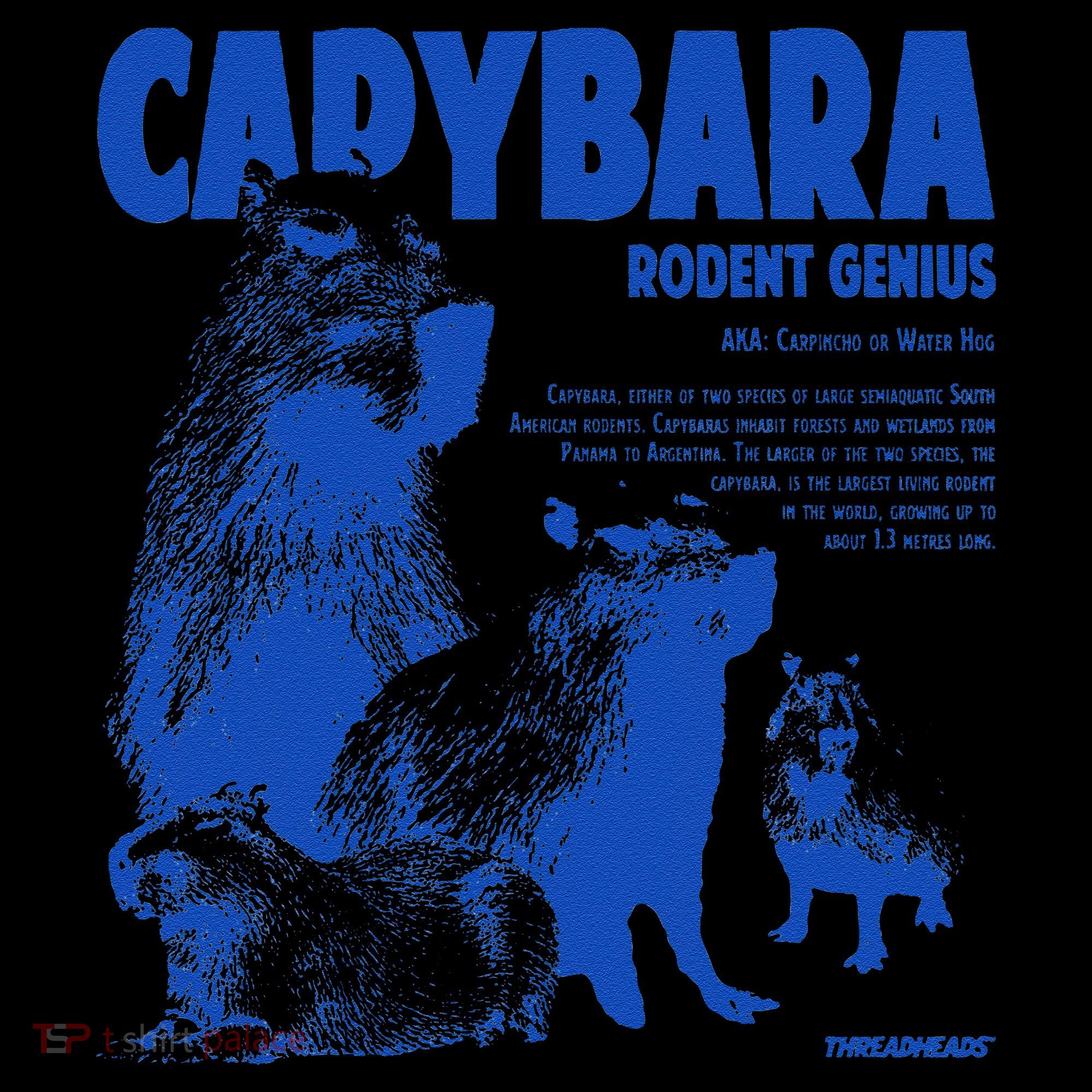 Capybara Rodent Genius Toddler T-Shirt