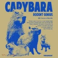 Capybara Rodent Genius T-Shirt thumb 7