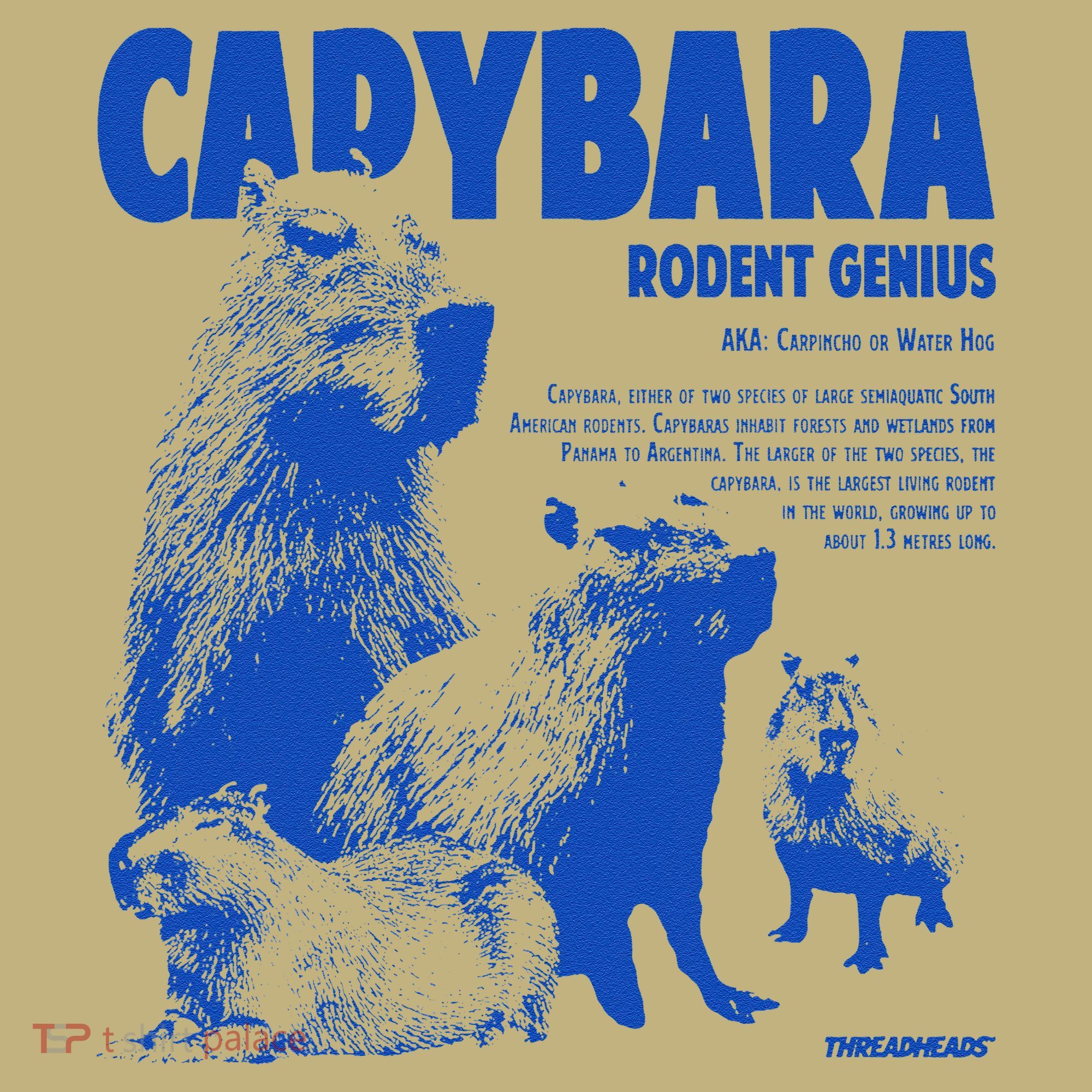 Capybara Rodent Genius Button