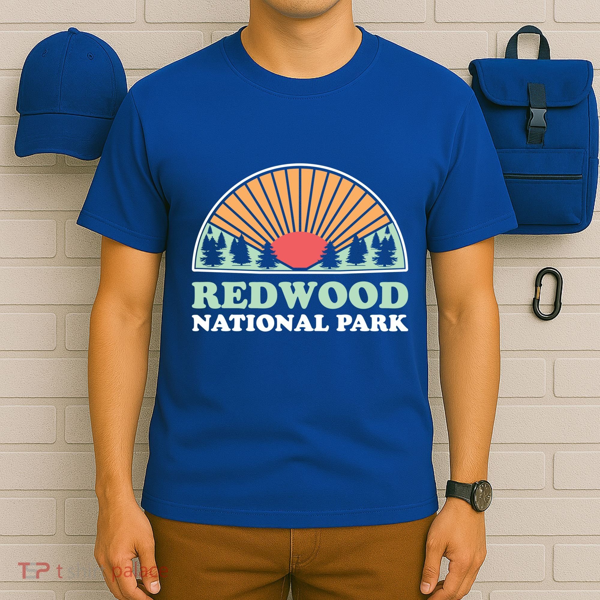 California Retro Gift Vintage Redwood National Park Gift T-Shirt
