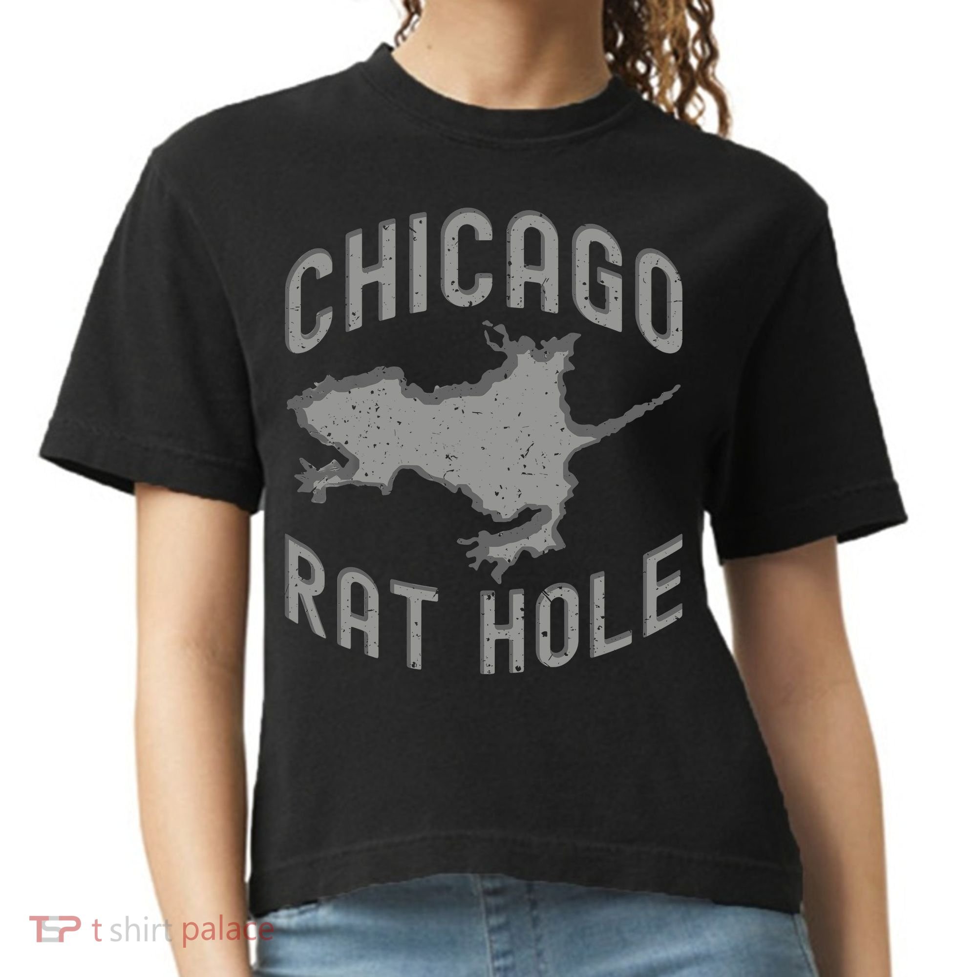 Chicago Rat Hole Hilarious Souvenir From Chicago Funny Comfort Colors Boxy T-Shirt