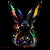Colorful Rabbit Illustration T-Shirt thumb 7