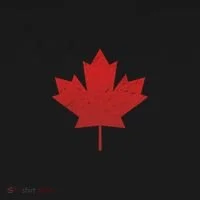 Canadian Red Maple Leaf Symbol Toddler Hoodie thumb 2