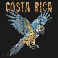 Costa Rica Macaw Pura Vida Animals Nature Pura Vida T-Shirt thumb 7