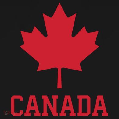 Canada Red Maple Leaf Flag Canada Day Magnet