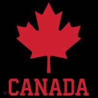 Canada Red Maple Leaf Flag Canada Day Kids Hoodie thumb 5