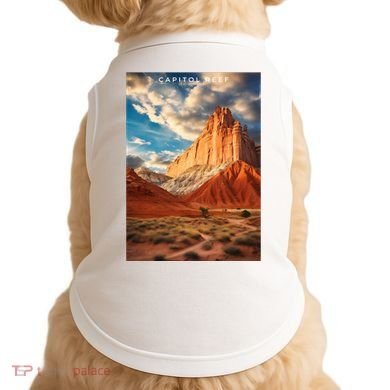 Capitol Reef National Park Doggie Tank