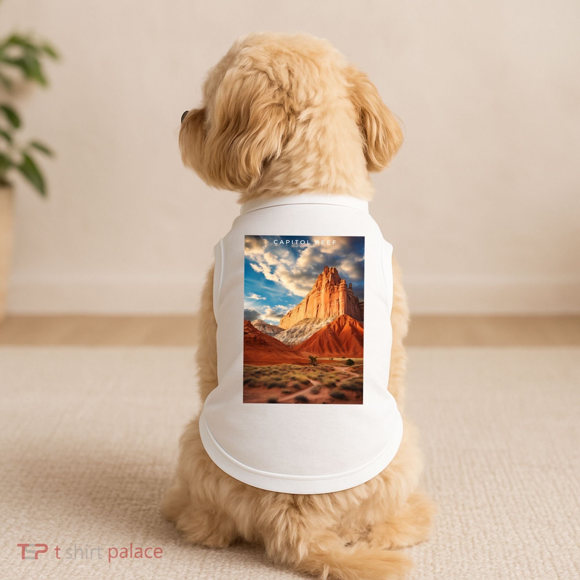 Capitol Reef National Park Doggie Tank