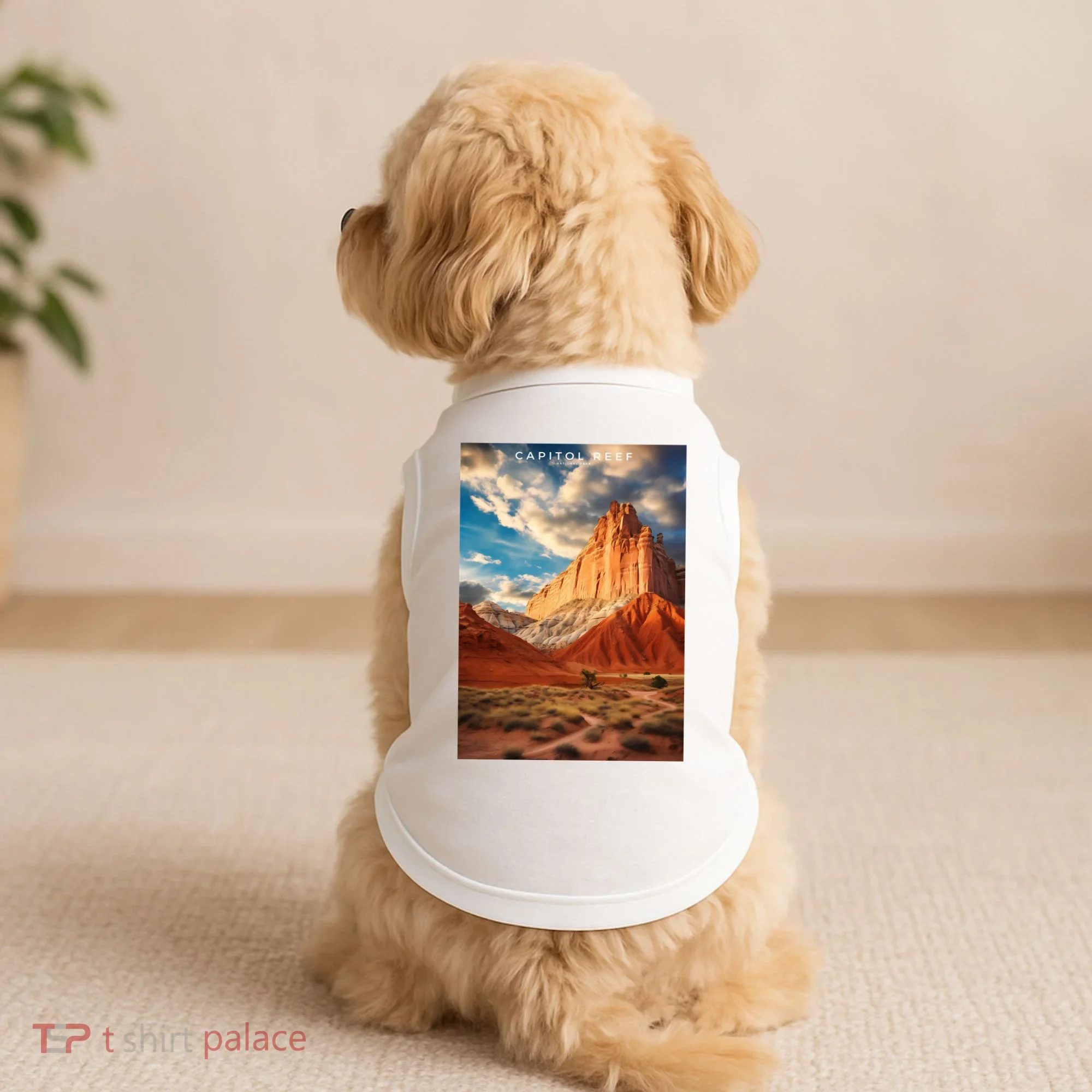 Capitol Reef National Park Doggie Tank