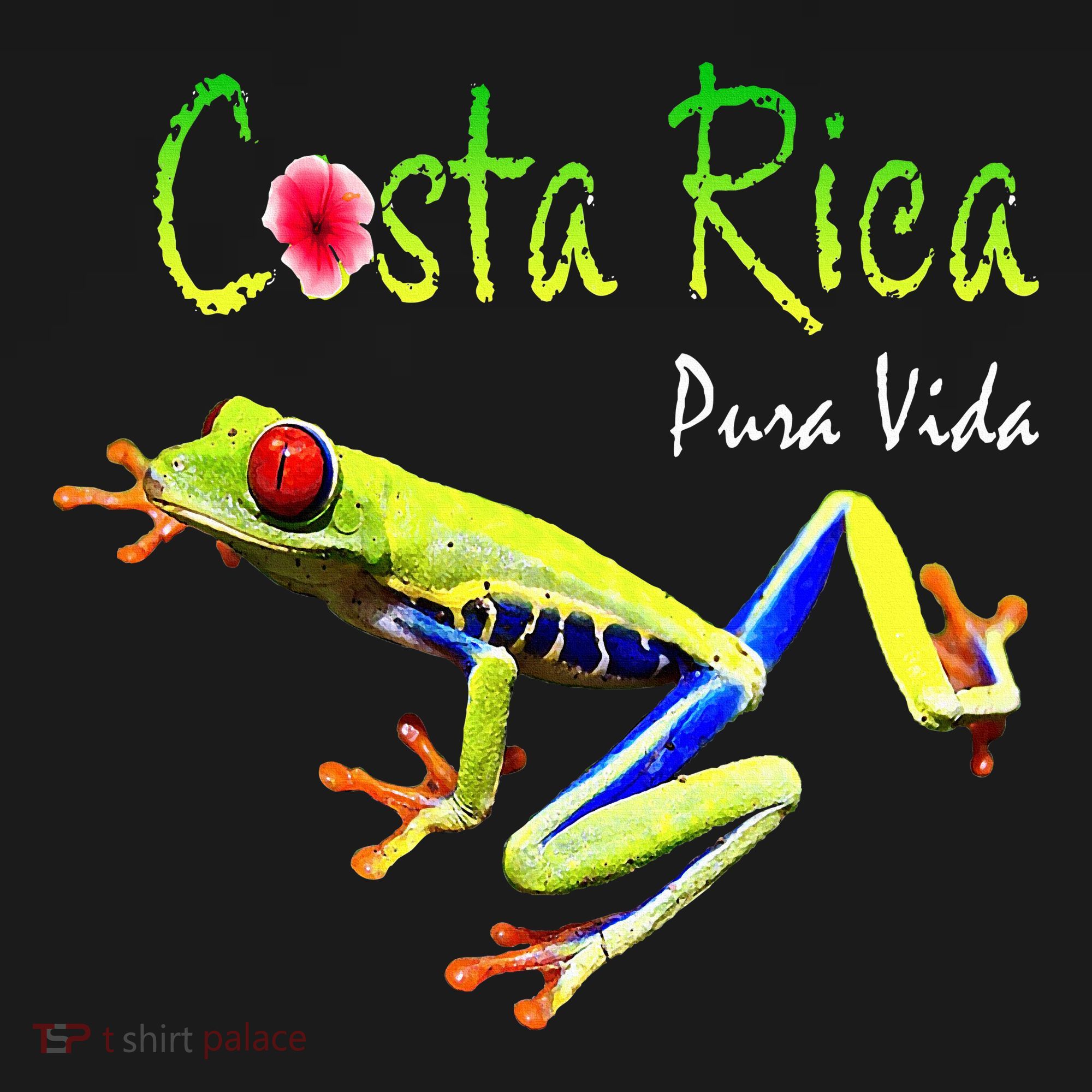 Costa Rica Pura Vida Travel Souvenir Vacation Frog Nature Women's Tank Top