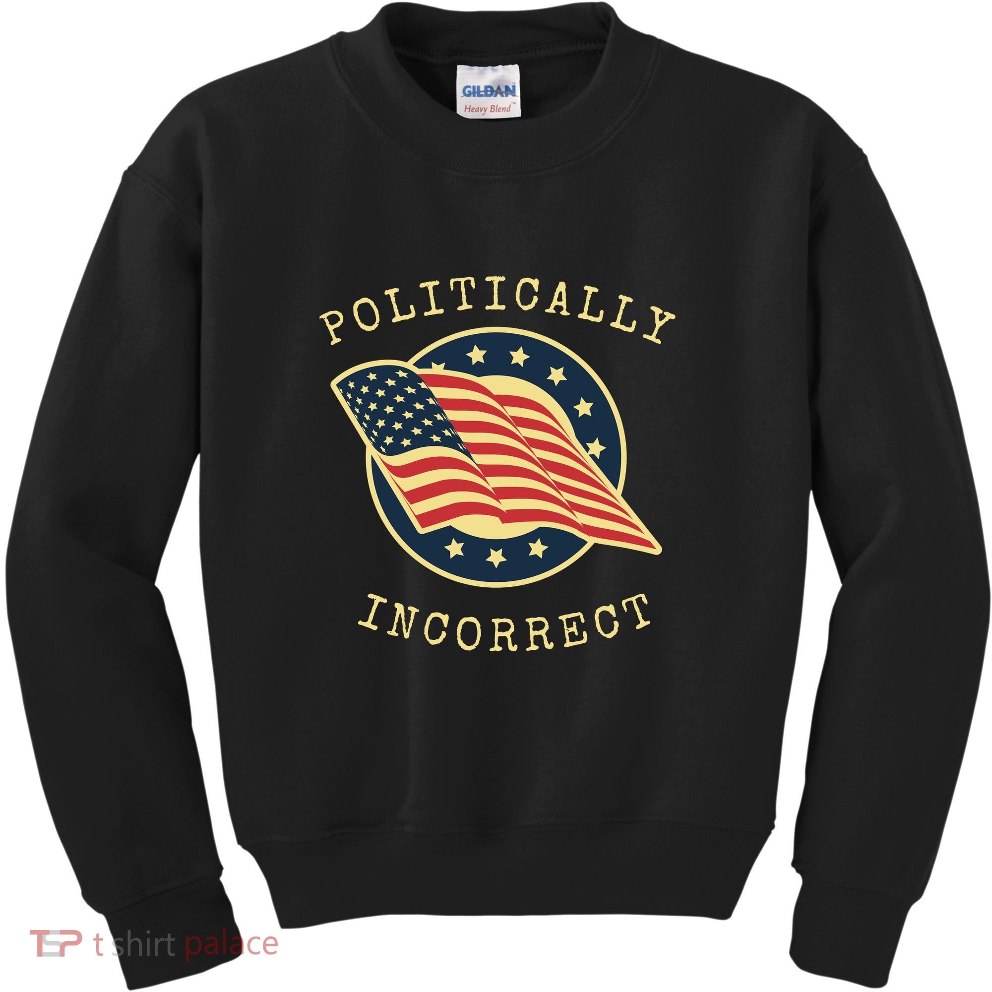 Conservative Republican Politically Incorrect Kids Sweatshirt
