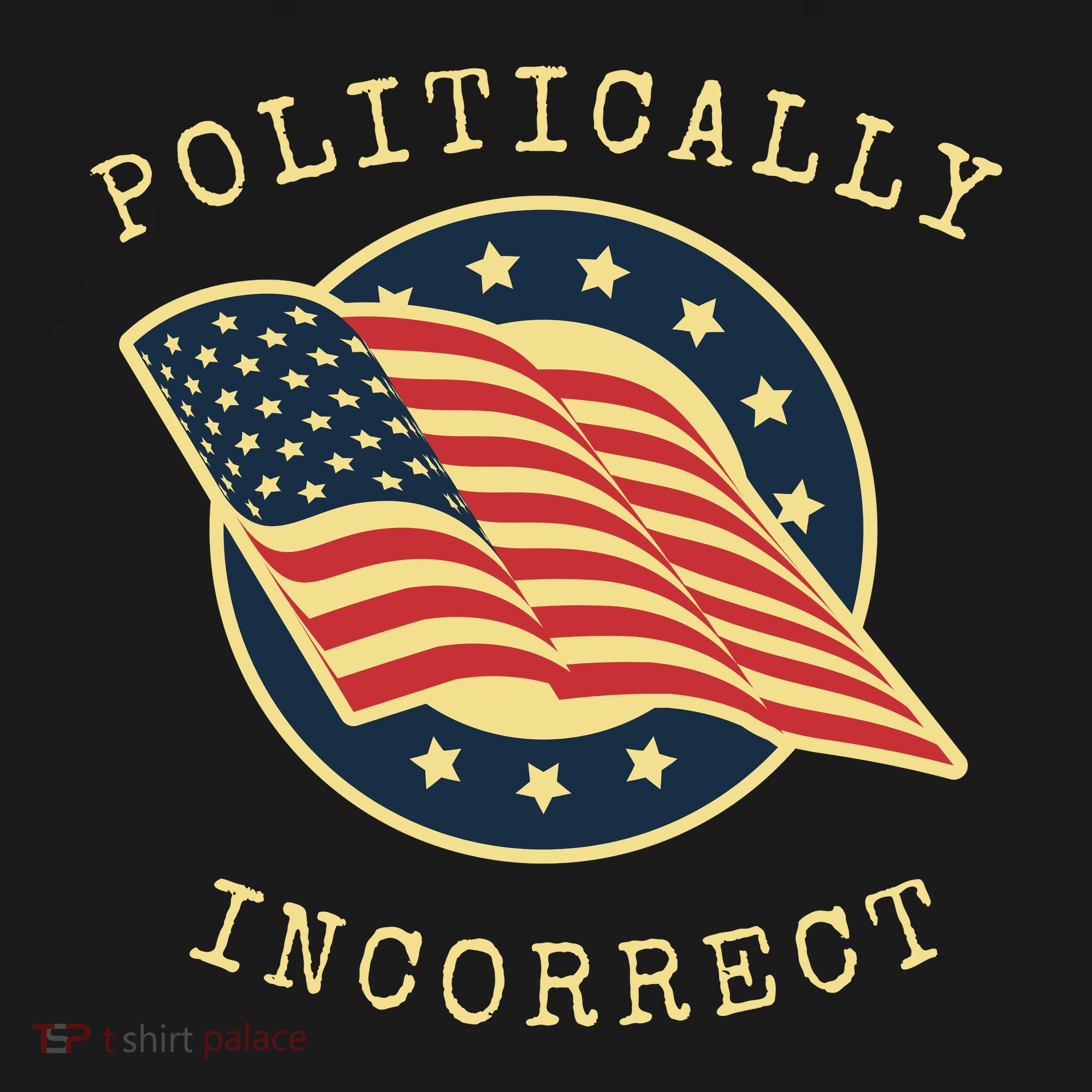 Conservative Republican Politically Incorrect Kids T-Shirt