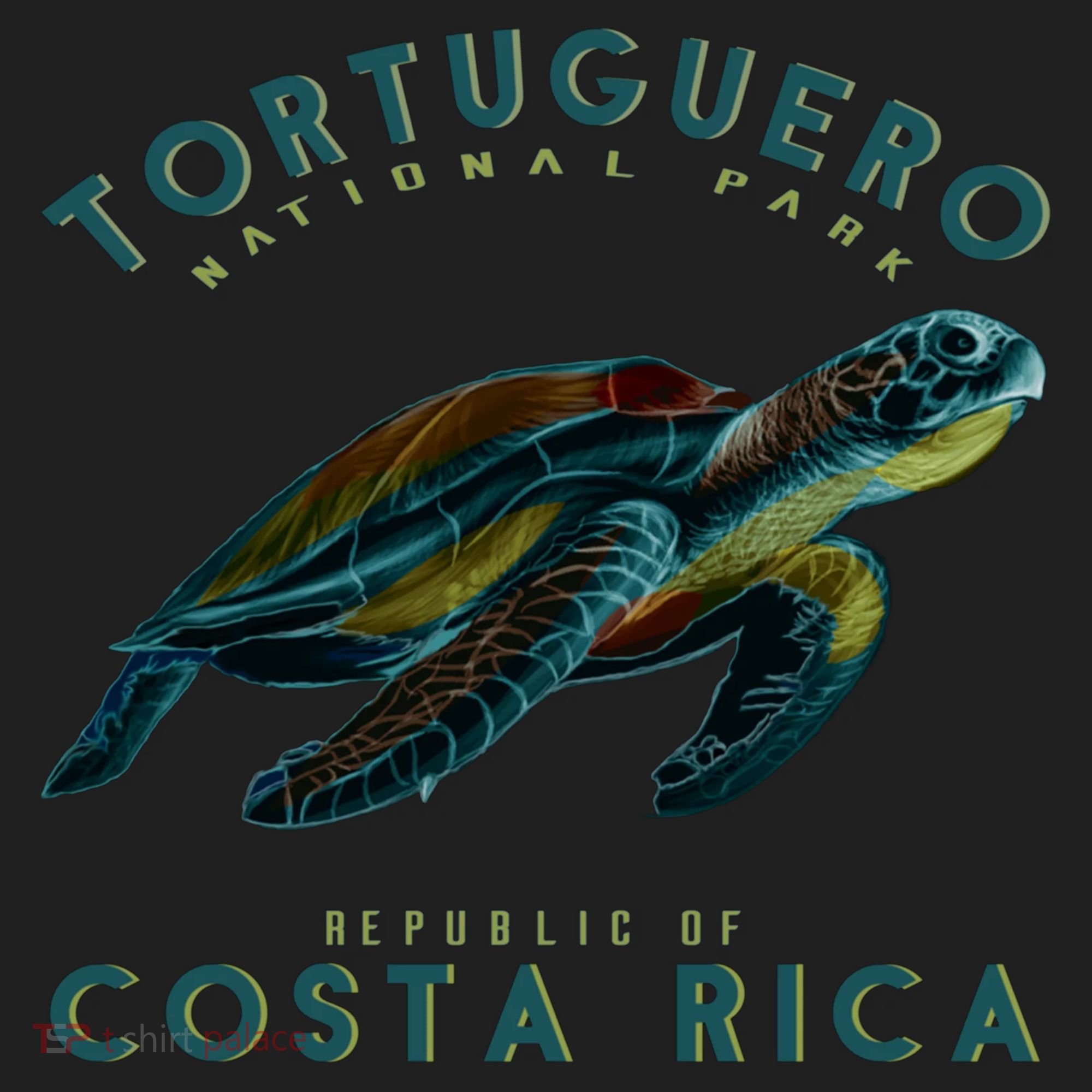Costa Rica Sea Turtle Women's Sweatshirt
