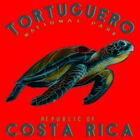 Costa Rica Sea Turtle Santa Hat thumb 1