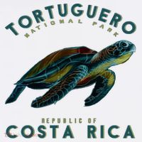 Costa Rica Sea Turtle Hoodie thumb 7