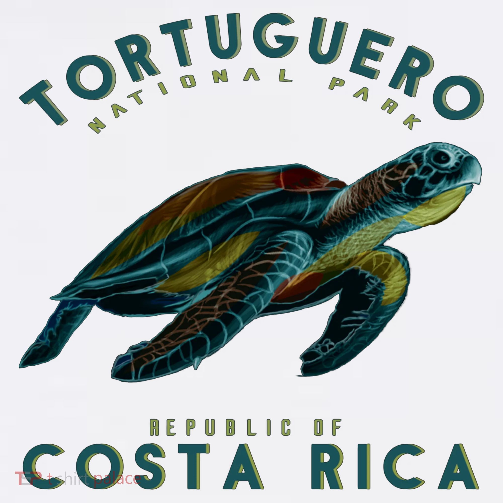 Costa Rica Sea Turtle Sweatshirt