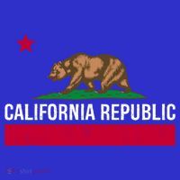 California Republic State Flag Cool Gift Hoodie thumb 7