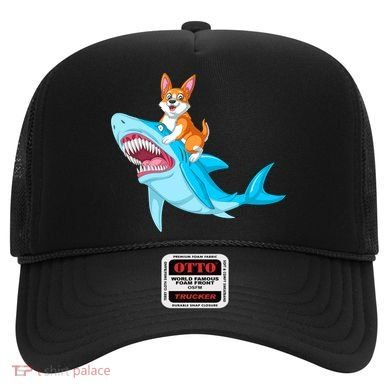 Corgi Riding Shark Hat