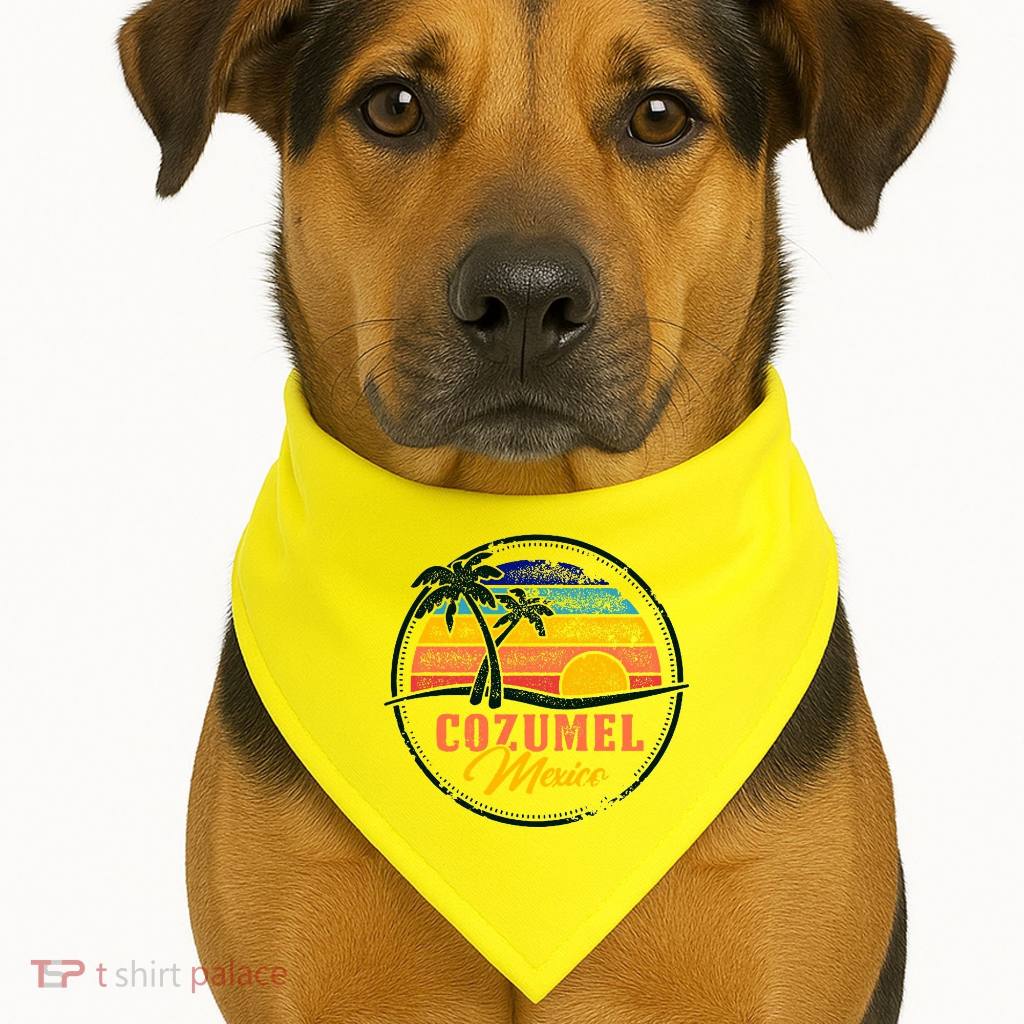 Cozumel Retro Sunset USA-Made Doggie Bandana