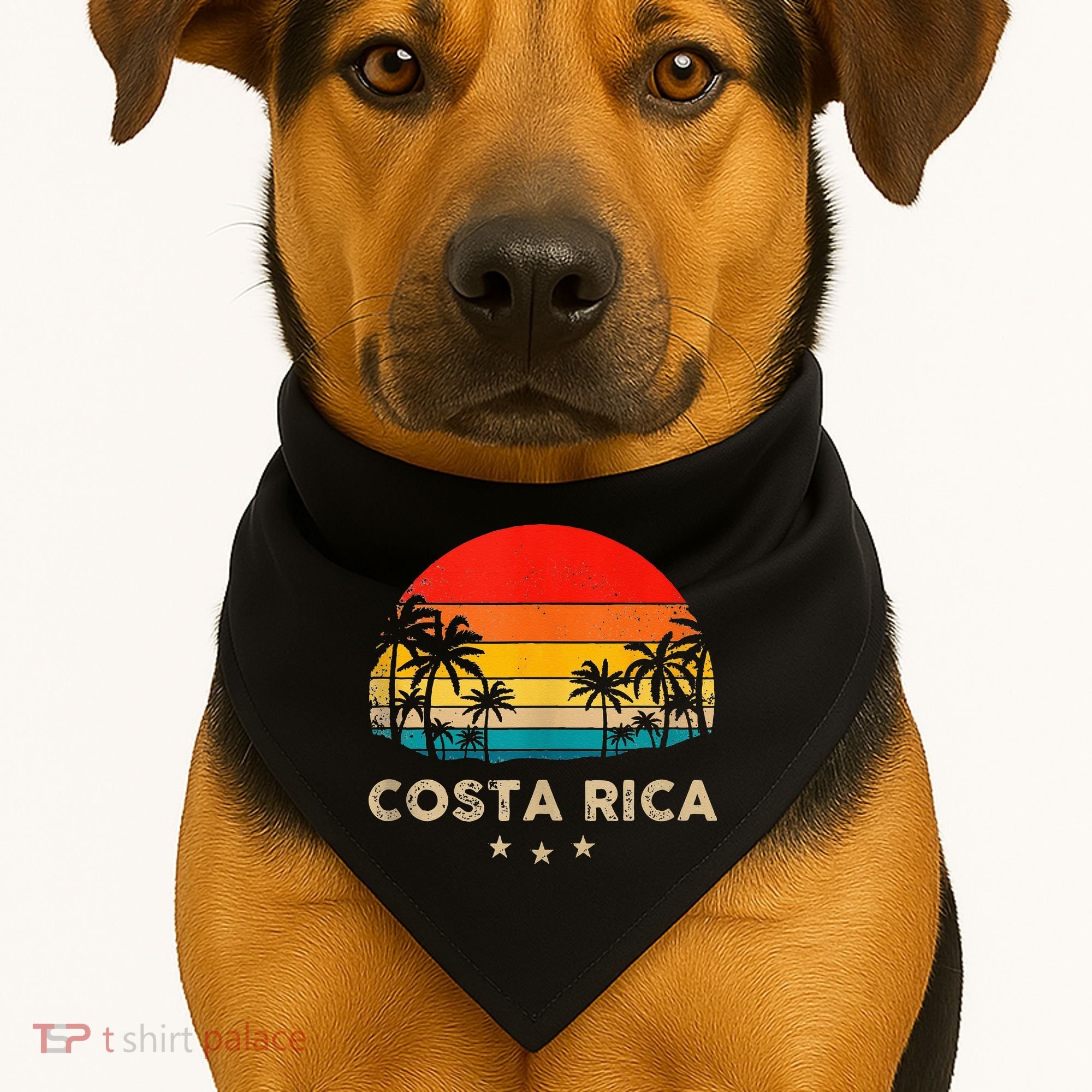 Costa Rica Sunset USA-Made Doggie Bandana