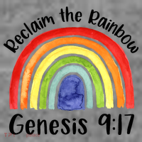 Christian Reclaim The Rainbow Jesus Lover Proverb Tee Toddler Hoodie thumb 2