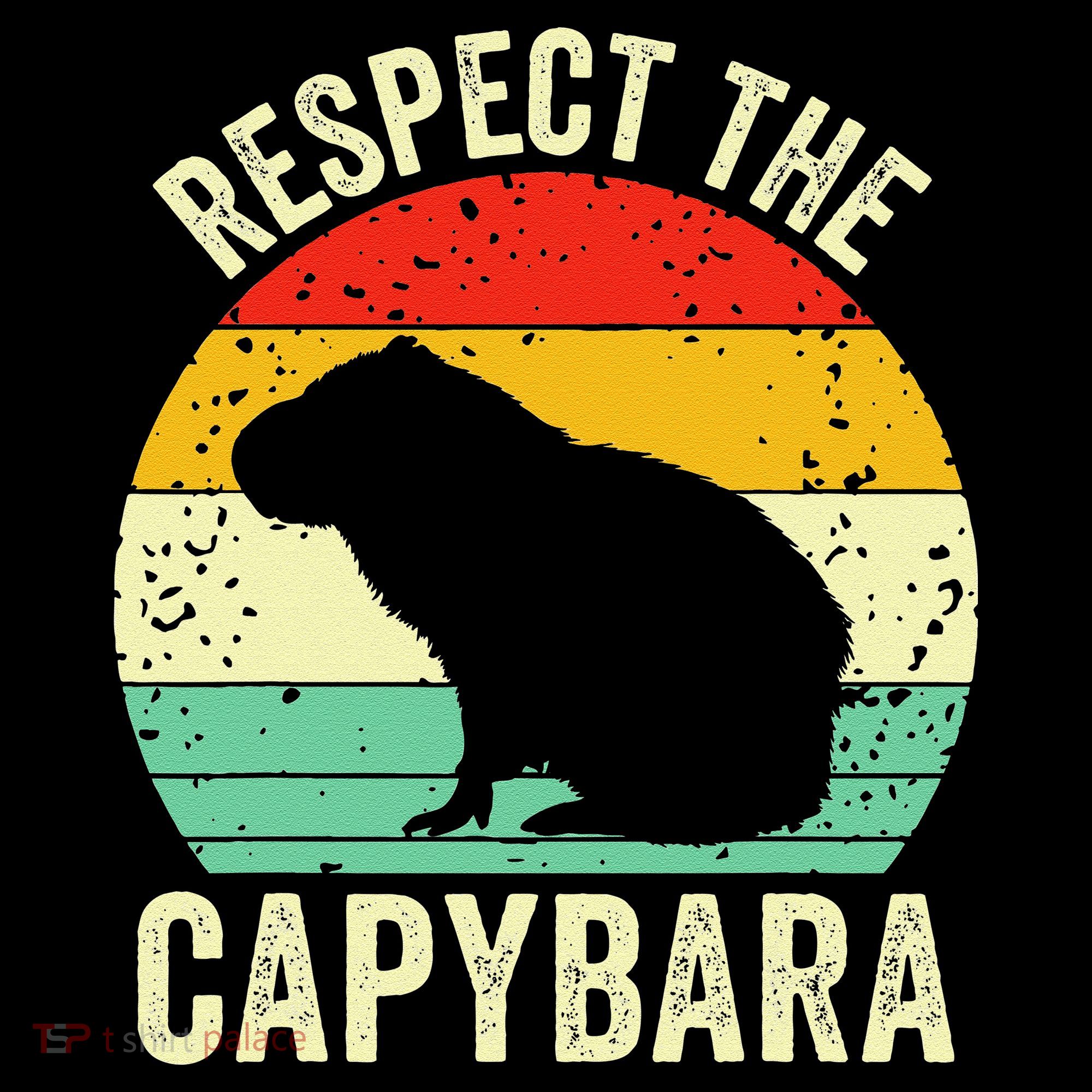 Capybaras Respect The Capybara Cavy Rodent Lover  Hoodie