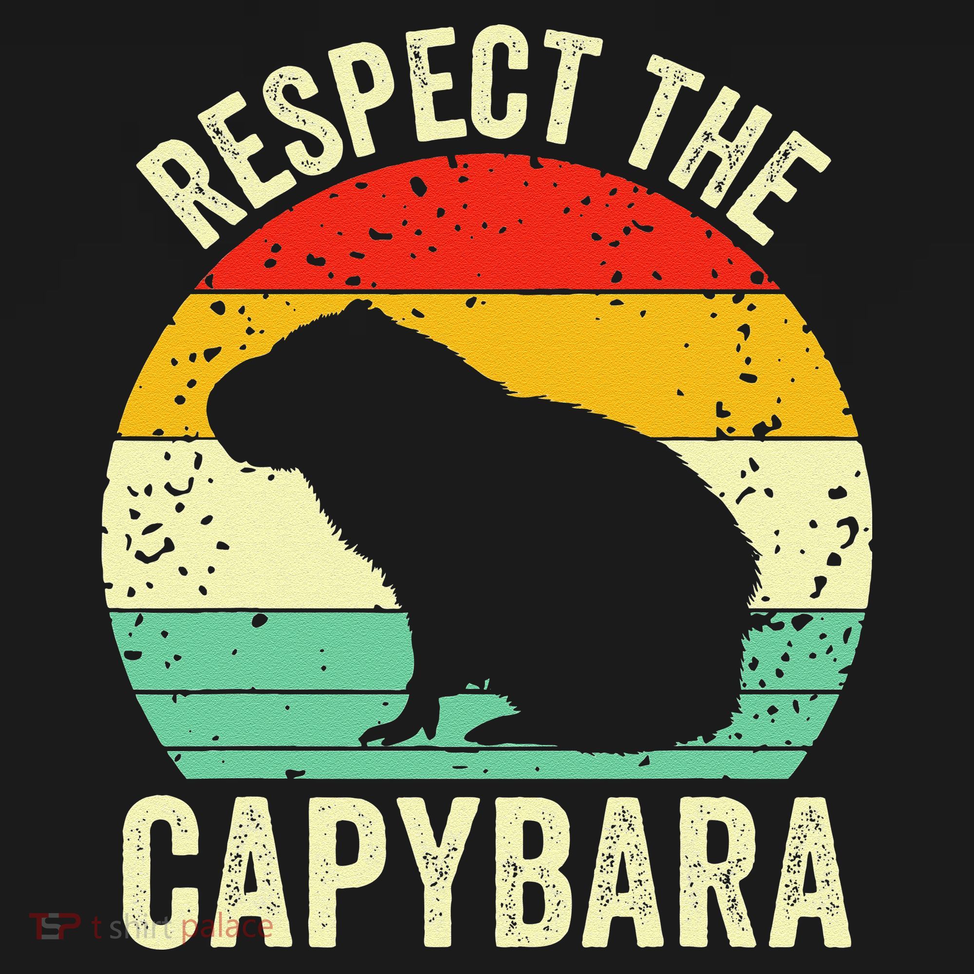 Capybaras Respect The Capybara Cavy Rodent Lover  Women's Long Sleeve Shirt