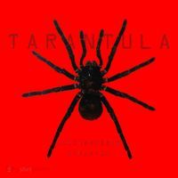 Creepy Real Taxidermy Tarantula Spider Santa Hat thumb 1